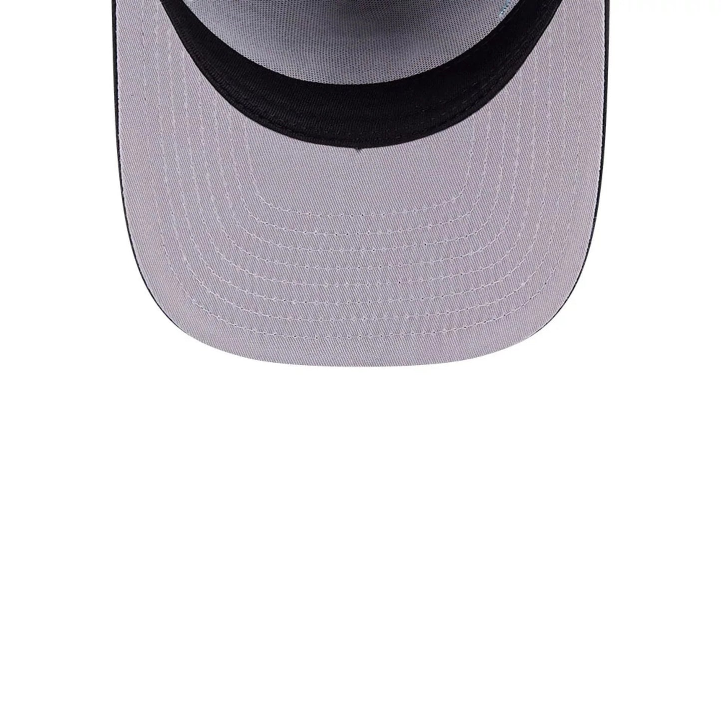 Gorra Looney Tunes Wile E Coyote 9FIFTY Snapback A-Frame Negro